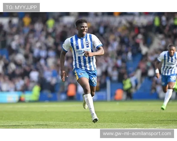 巴莱巴与主帅争执:足球场上的火花与深意 巴莱巴与主帅争执:足球场上的火花与深意